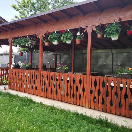 Vila Baciu Hotel Tuzla Exterior foto