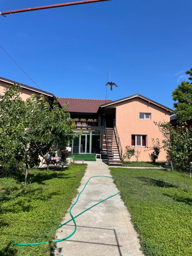 Vila Baciu Hotel Tuzla Exterior foto